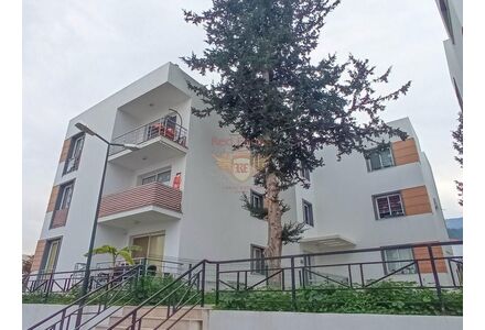 Квартира 3-комнатная 2+1 в центре Кирении площадь 87м²