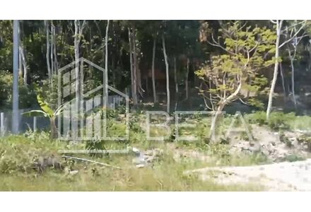 Земля у моря на Као Ронг Санлоеме (Као Ронг Санлоем) участок на курорте 14212м²