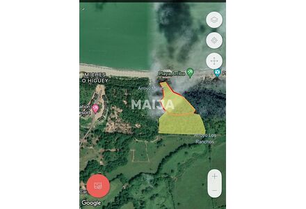 Земля в Мичесе (Мичес) участок в деревне 39000м²
