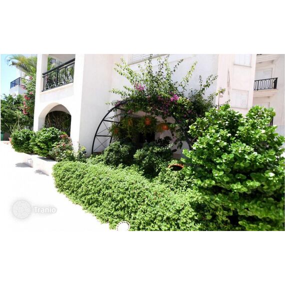 Apartment 1-room 3+1 in Limassol (Limassol (downtown)) Cyprus area 166m² , 11 image