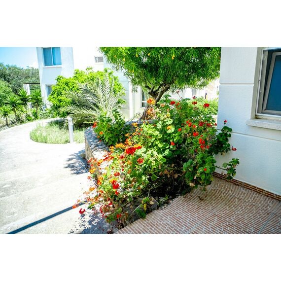 Apartment 3-room 2+1 by the sea in Esentepe Cyprus area 97m² , 5 image