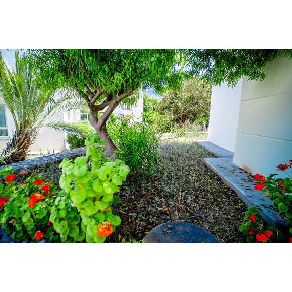 Apartment 3-room 2+1 by the sea in Esentepe Cyprus area 97m² , 6 image
