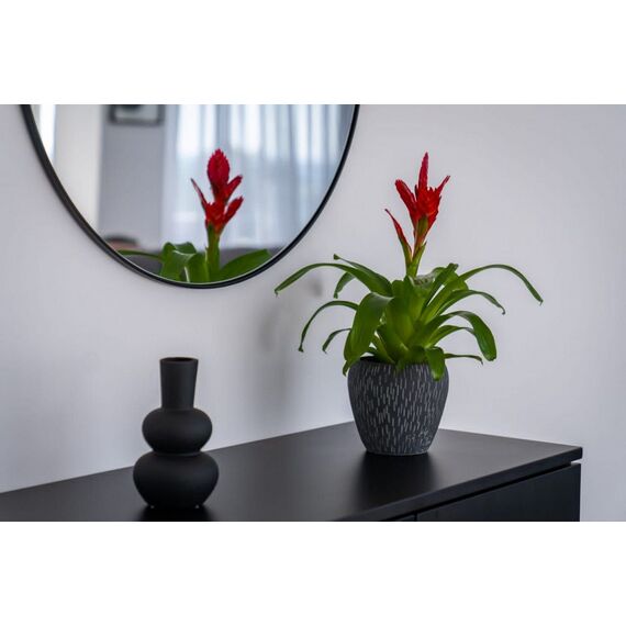 Apartment 3-room 2+1 by the sea in Kato Paphos (Kato Paphos) Cyprus area 131m² 5 floor, 15 image