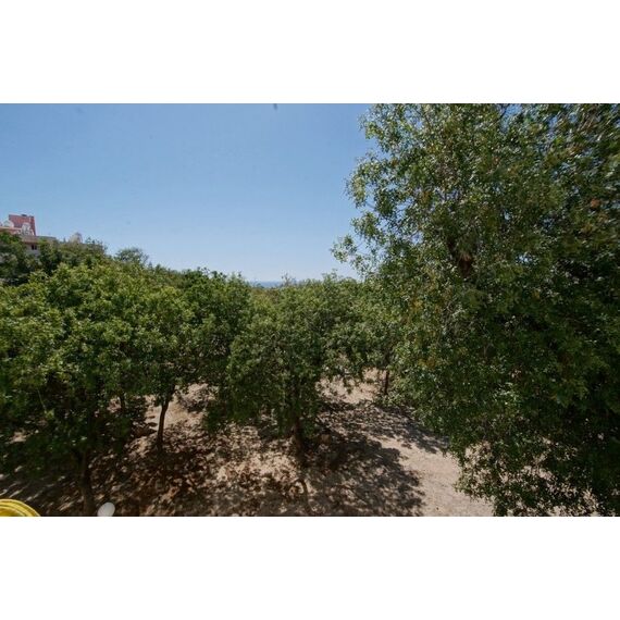 Apartment 2-room 1+1 by the sea in Paphos (downtown) (Paphos) Cyprus area 60m² 2 floor, 6 image