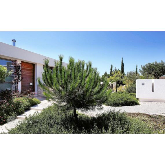 Villa in Paphos (downtown) (Paphos) Cyprus area 212m² , 13 image