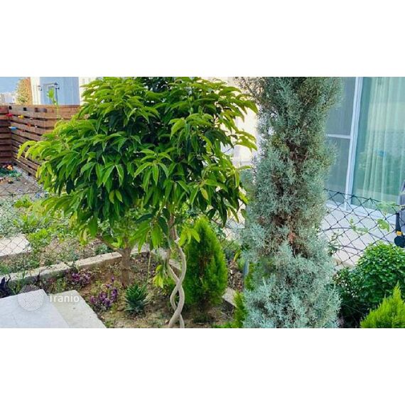 Townhouse in Kyrenia (downtown) Cyprus area 140m² , 9 image