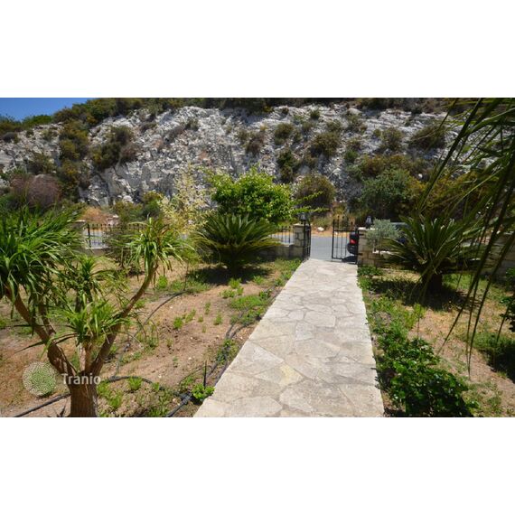Villa in Paphos (downtown) (Paphos) Cyprus area 452m² , 18 image
