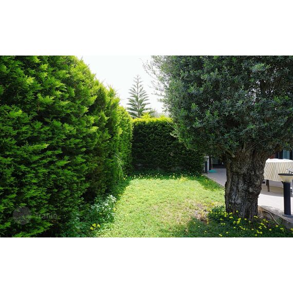 Villa in Kyrenia (downtown) Cyprus area 340m² 2 floors, 9 image