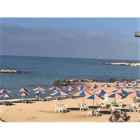 Вилла у моря в Пафосе (центр) (Пафос) площадь 182м², изображение 19