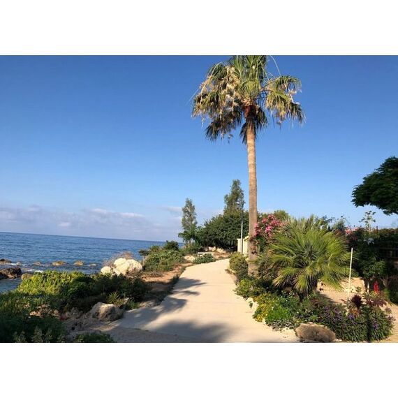 Villa by the sea in Paphos (downtown) Cyprus area 163m² 