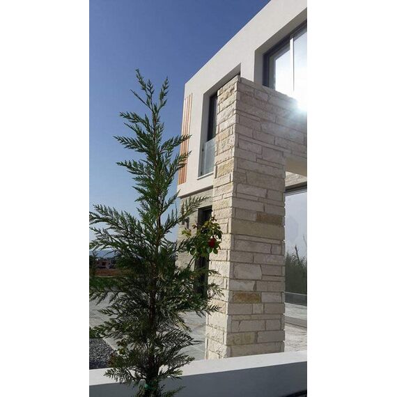Villa by the sea in Paphos (downtown) (Paphos) Cyprus area 160m² 2 floors, 11 image