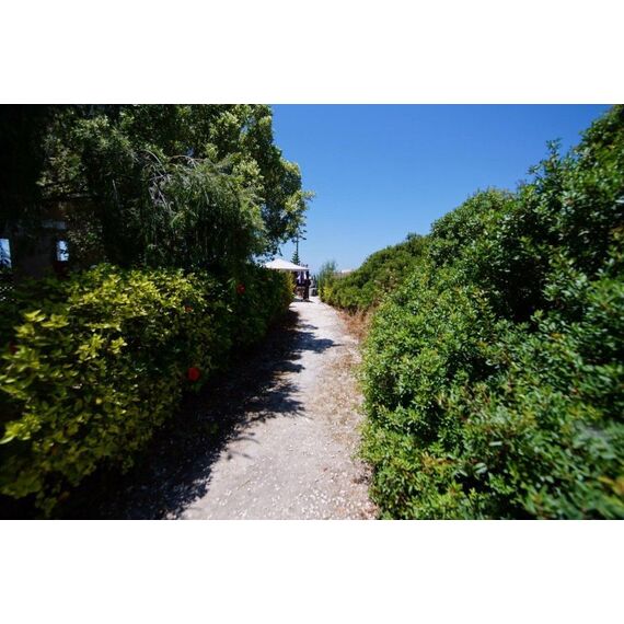 Townhouse by the sea in Paphos (downtown) (Paphos) Cyprus area 82m² , 4 image