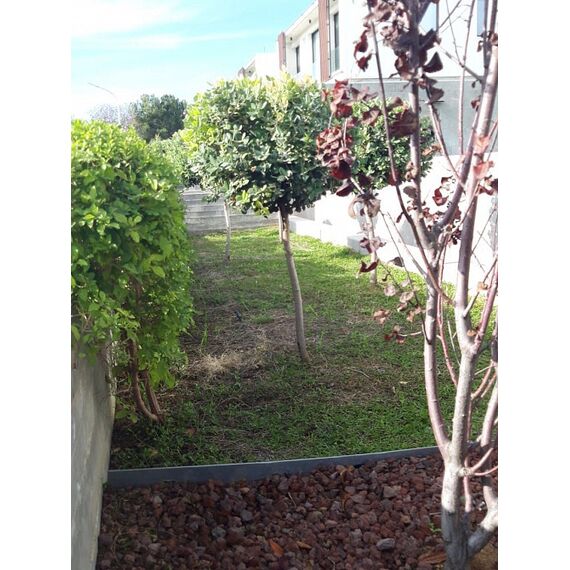 Villa by the sea in Paphos (downtown) (Paphos) Cyprus area 210m² 2 floors, 8 image