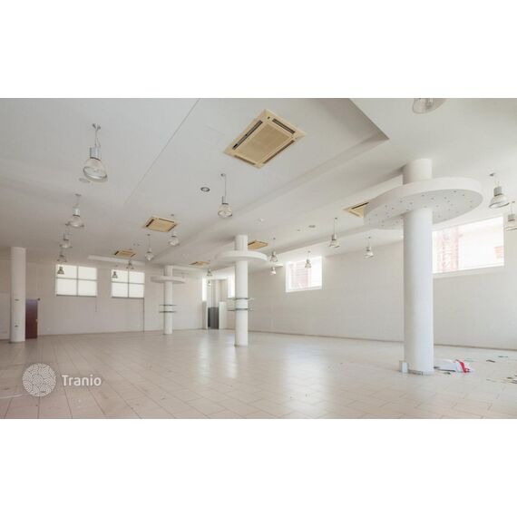 Торговое помещение в Ларнаке 1198м², изображение 6