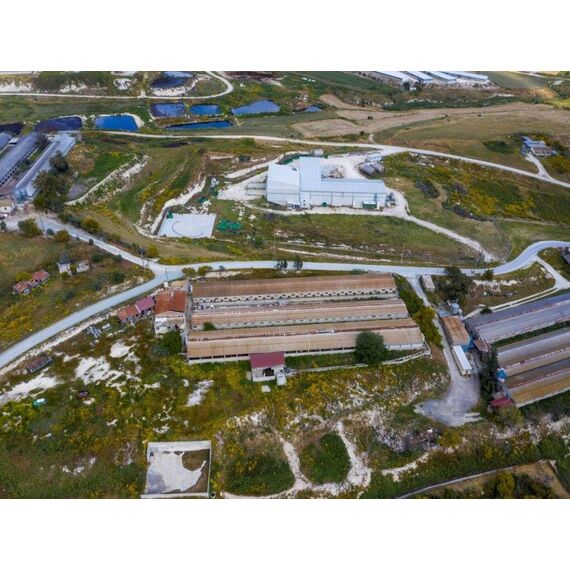 Коммерческая недвижимость в Арадипу (Арадипу) 3450м², изображение 2