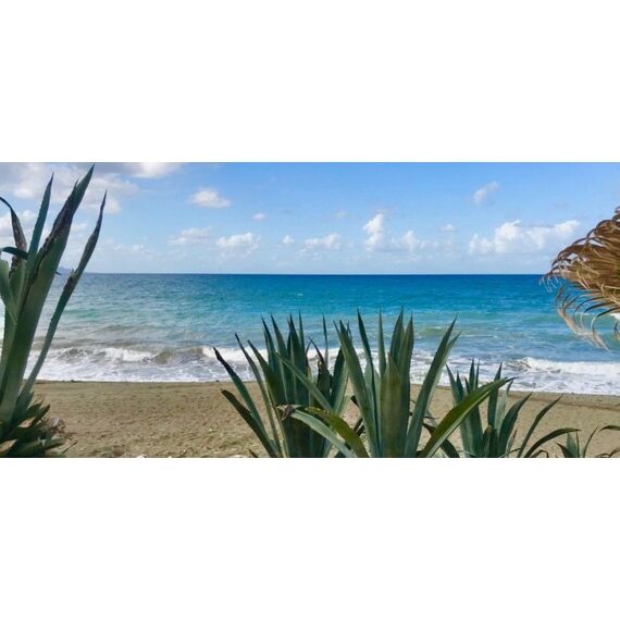 Commercial property in Paphos (downtown) Cyprus 500m² , 3 image