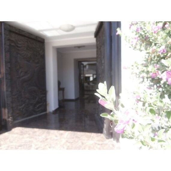 Commercial property in Peyia (Peyia) Cyprus 453m² , 4 image