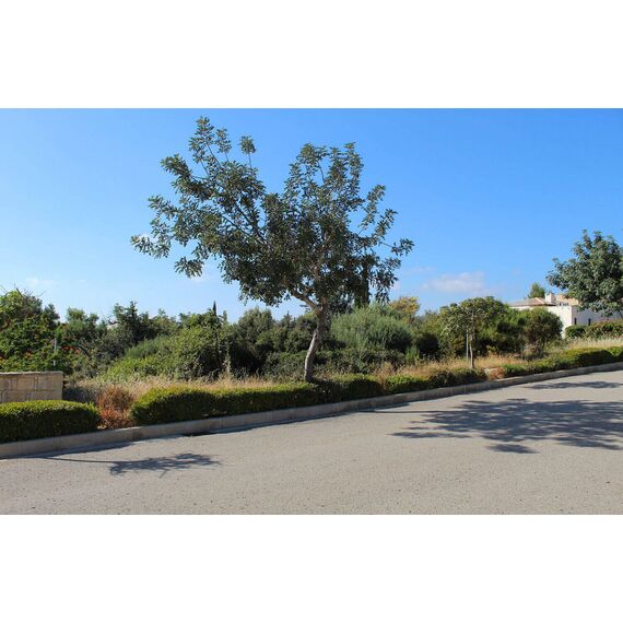 Земля в Афродита Хиллс (Пафос) Кипр участок в пределах города 1315м² , изображение 6