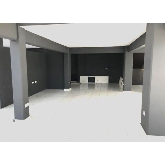 Коммерческая недвижимость в Агия Зони (Агия Зони) 502м², изображение 5