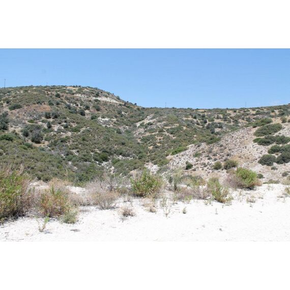 Land in Limassol Cyprus plot within city limits 89500m² , 5 image