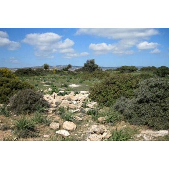 Land in Limassol Cyprus plot within city limits 10301100m² , 4 image
