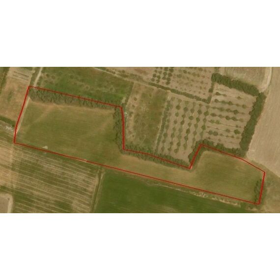 Земля в Пафосе (центр) участок в пригороде 15м², изображение 2