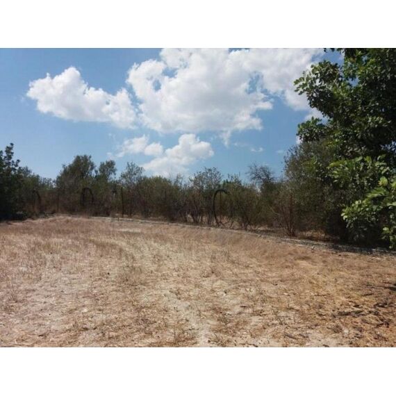 Land in Larnaca Cyprus plot in the village 5m² 