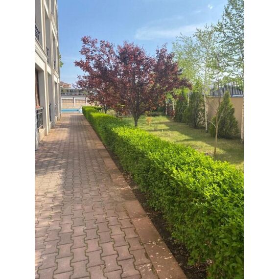 Apartment 2-room 1+1 by the sea in Nesebar (Elenite) Bulgaria area 50.42m² 4 floor, 12 image