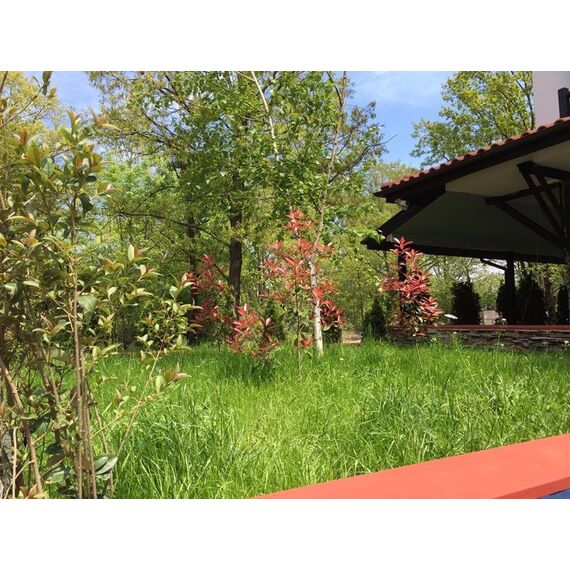 Apartment 2-room 1+1 by the sea in Primorsko Bulgaria area 56m² 3 floor, 5 image