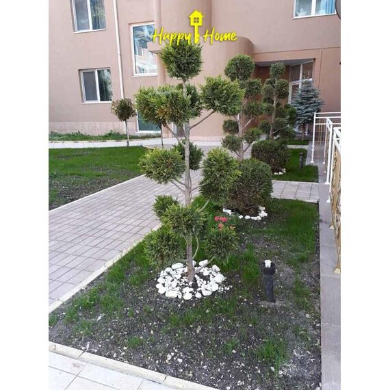 Apartment 1-room 1+0 studio by the sea in Nesebar (Sunny Beach) Bulgaria area 34m² 2 floor, 15 image