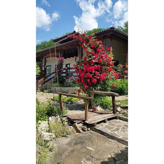 House in Dobrich Bulgaria area 150m² 2 floors, 10 image