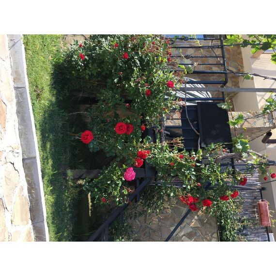 House by the sea in Nesebar (Sunny Beach) Bulgaria area 162m² 2 floors, 18 image
