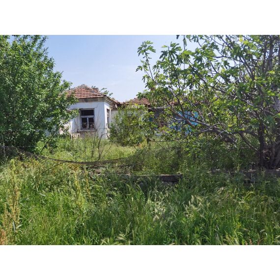 Дом в Несебре (Оризаре) площадь 160м² 1-этажный, изображение 4