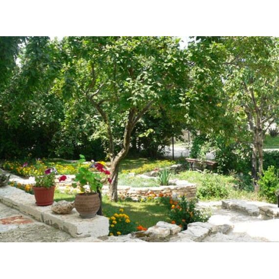 House by the sea in Balchik Bulgaria area 185m² 2 floors, 14 image