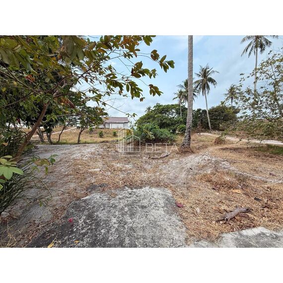 Земля у моря на Ко Ронге участок на курорте 36059м², изображение 12