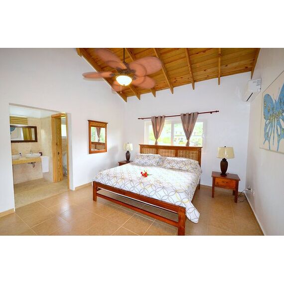 Villa in Sosua (Sosua) Dominican Republic area 230m² 1 floors, 9 image