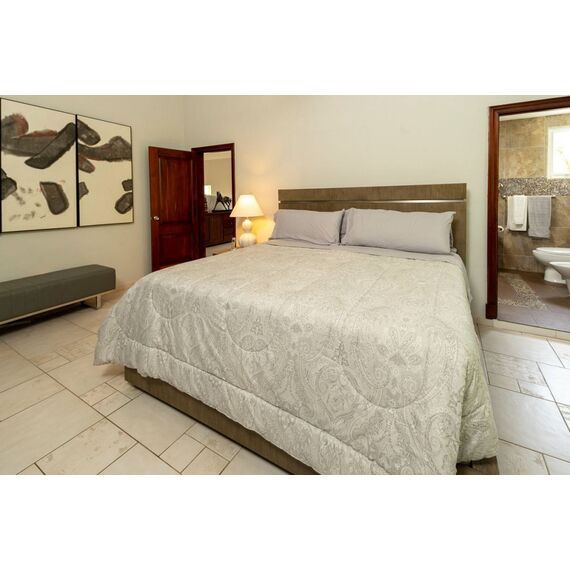 Villa in Punta Cana (Punta Cana) Dominican Republic area 400m² , 5 image