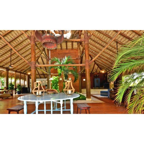 Villa in Punta Cana (Cap Cana) Dominican Republic area 580m² 1 floors, 14 image