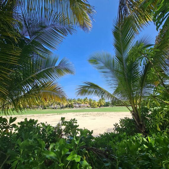 Villa in Punta Cana (Punta Cana) Dominican Republic area 400m² , 18 image