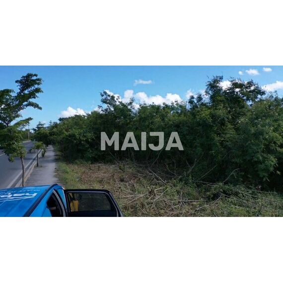 Земля в Пунта-Кана (Пунта-Кана) участок в пределах города 57345.74м², изображение 7