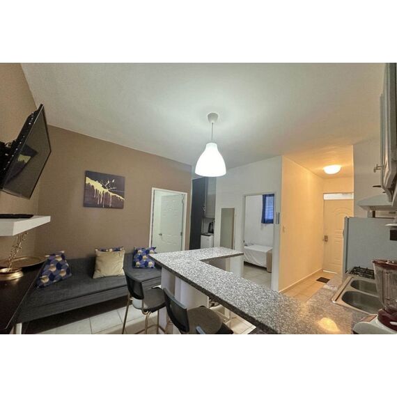 Квартира 4-комнатная 3+1 в Сосуа (Сосуа) площадь 50м² 1 этаж, изображение 3