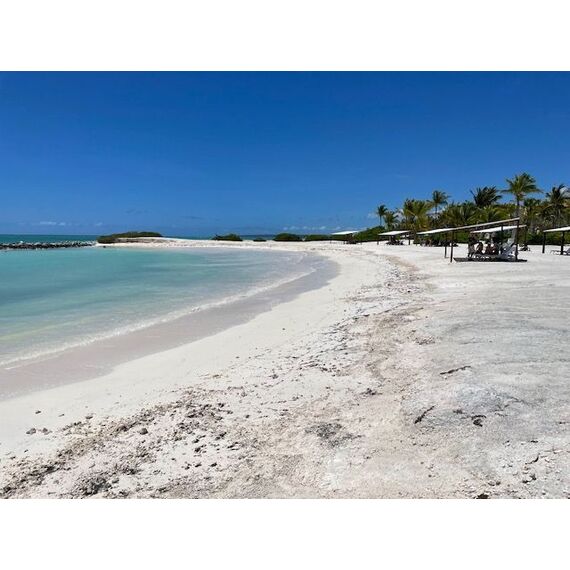 Apartment 2-room 1+1 in Punta Cana (Cap Cana) Dominican Republic area 76m², 14 image