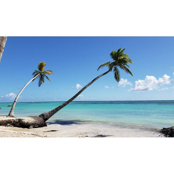 Apartment 3-room 2+1 in Punta Cana (Cap Cana) Dominican Republic area 272m², 12 image