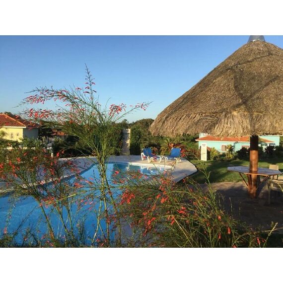 Apartment 4-room 3+1 in Sosua (Sosua) Dominican Republic area 345m², 11 image