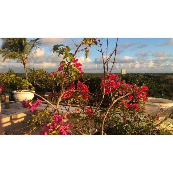 Apartment 3-room 2+1 in Punta Cana (Cap Cana) Dominican Republic area 272m², 7 image
